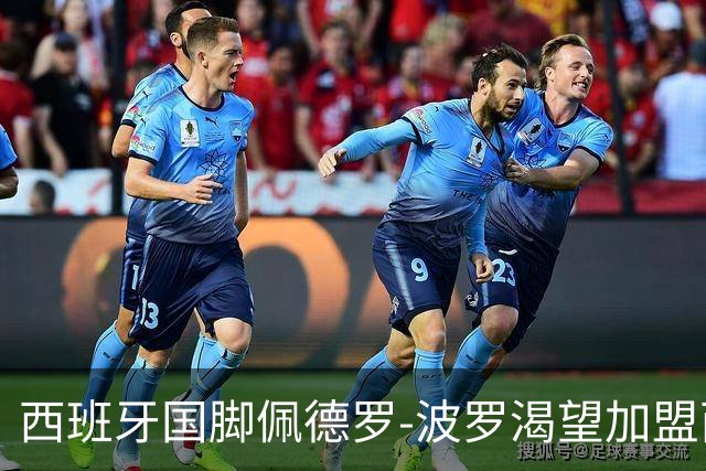 西班牙国脚佩德罗-波罗渴望加盟西甲豪门，热刺要价9000万欧